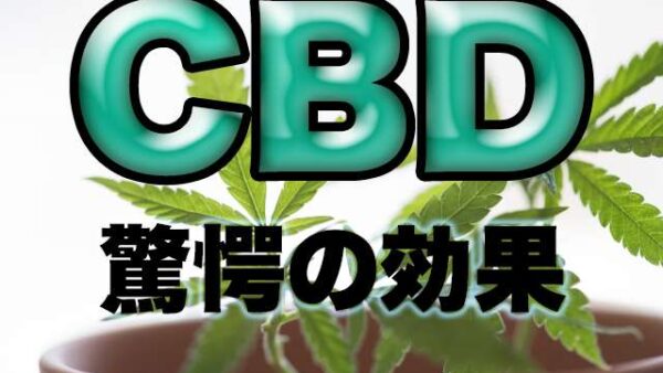 話題のCBDはダイエットにも効果的！CBDを徹底解説