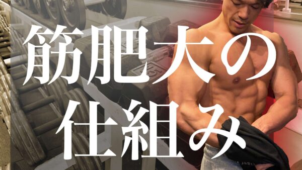 【筋トレ/ダイエットGYM】筋肥大の仕組みをわかりやすく解説します