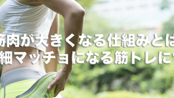 【筋トレ】筋肉が大きくなる仕組みとは？確実に細マッチョになる筋トレを