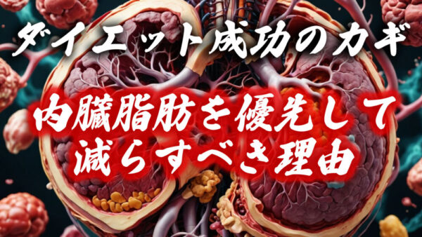 ダイエット成功のカギ：内臓脂肪を優先して減らすべき理由