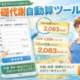 基礎代謝の自動計算ツールと消費カロリー｜ダイエットで何kcal必要か完全解説