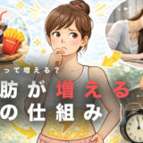 脂肪はどうやって増える？体脂肪が増える本当の仕組みについて解説します