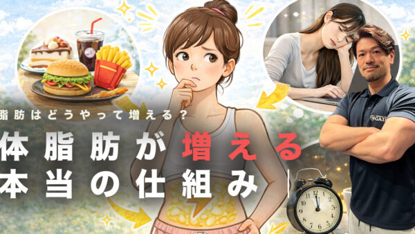 脂肪はどうやって増える？体脂肪が増える本当の仕組みについて解説します