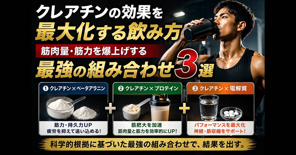 クレアチンの効果を最大化するには「飲み方」と「組み合わせ」が重要です。本記事では、ベータアラニン・プロテイン・電解質との併用によって筋力・筋肉量を効率的に伸ばす方法を、最新の研究データをもとにわかりやすく解説します。