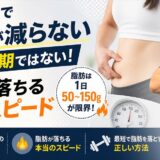 ダイエットで体重が減らないのは停滞期ではない｜脂肪が落ちる本当のスピード