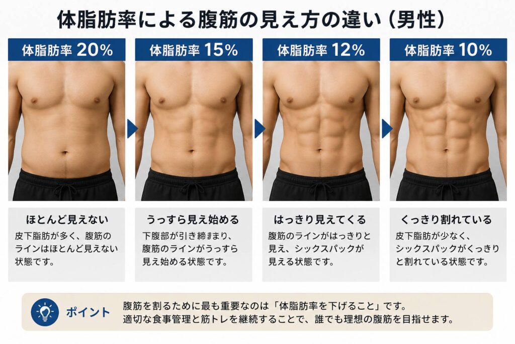 男性の体脂肪率20％、15％、12％、10％における腹筋の見え方の比較