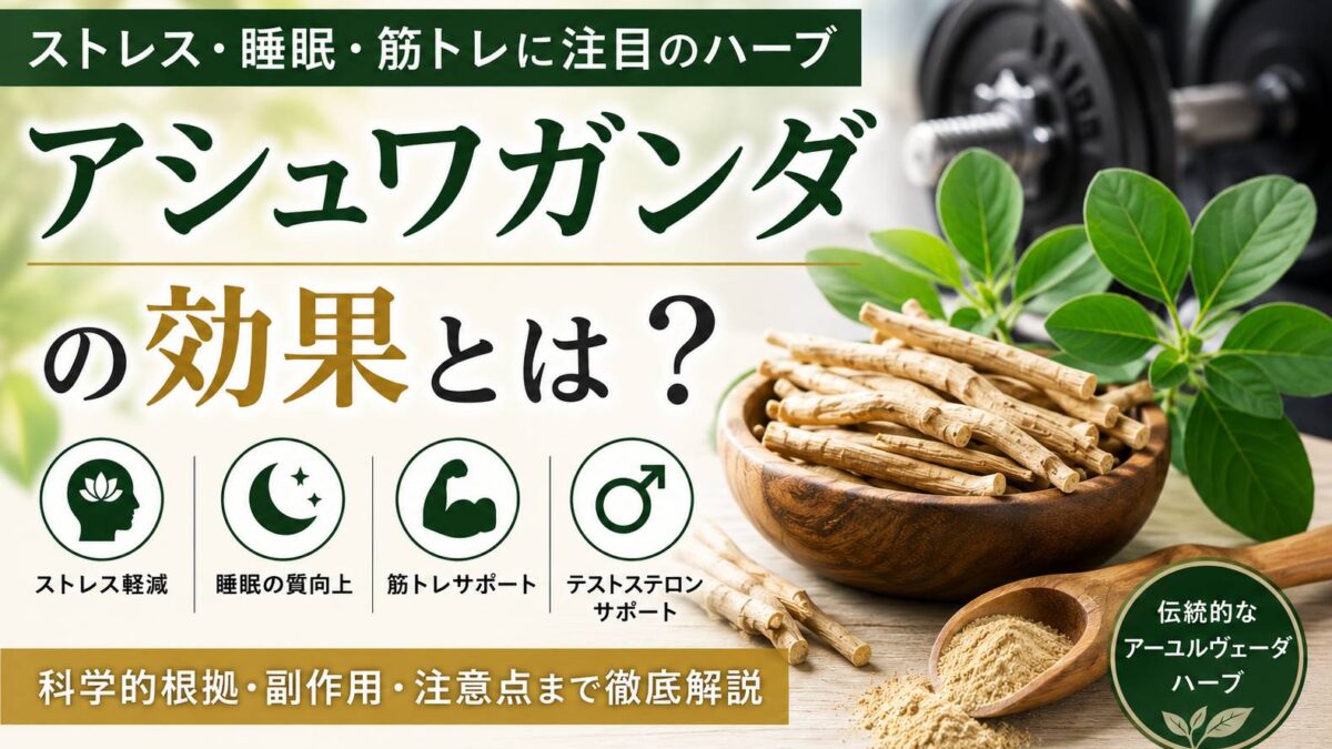 アシュワガンダの効果とは？筋トレ・ストレス・テストステロンへの影響を解説