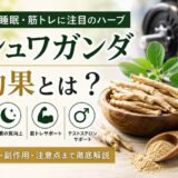 アシュワガンダの効果とは？筋トレ・ストレス・テストステロンへの影響を解説