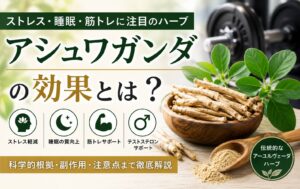 アシュワガンダの効果とは？筋トレ・ストレス・テストステロンへの影響を解説