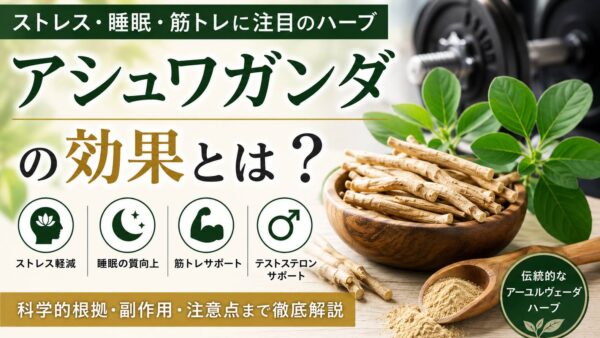 アシュワガンダの効果とは？筋トレ・ストレス・テストステロンへの影響を解説