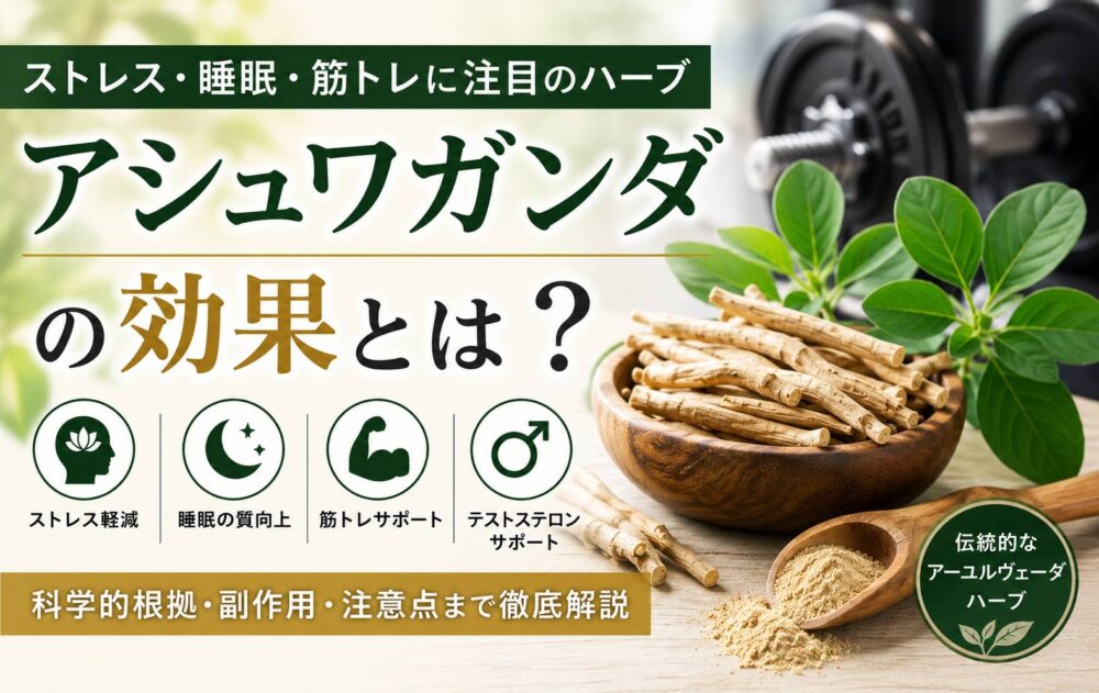 アシュワガンダの効果とは？筋トレ・ストレス・テストステロンへの影響を解説