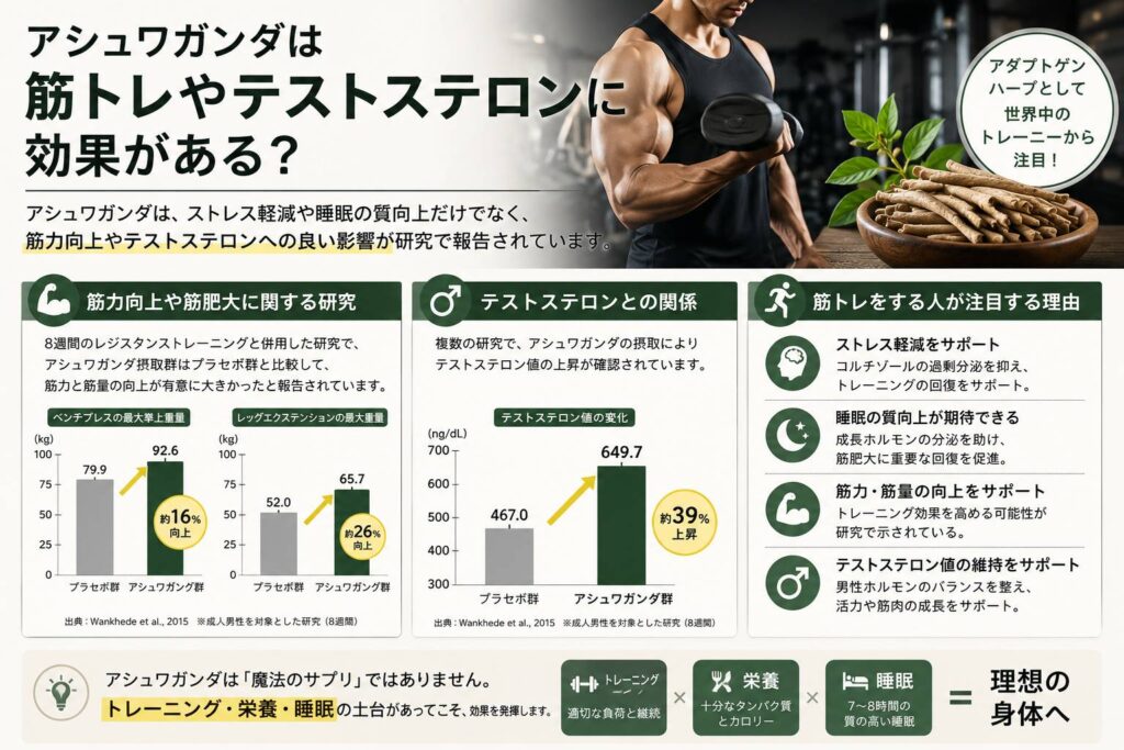 アシュワガンダは筋トレやテストステロンに効果がある？
