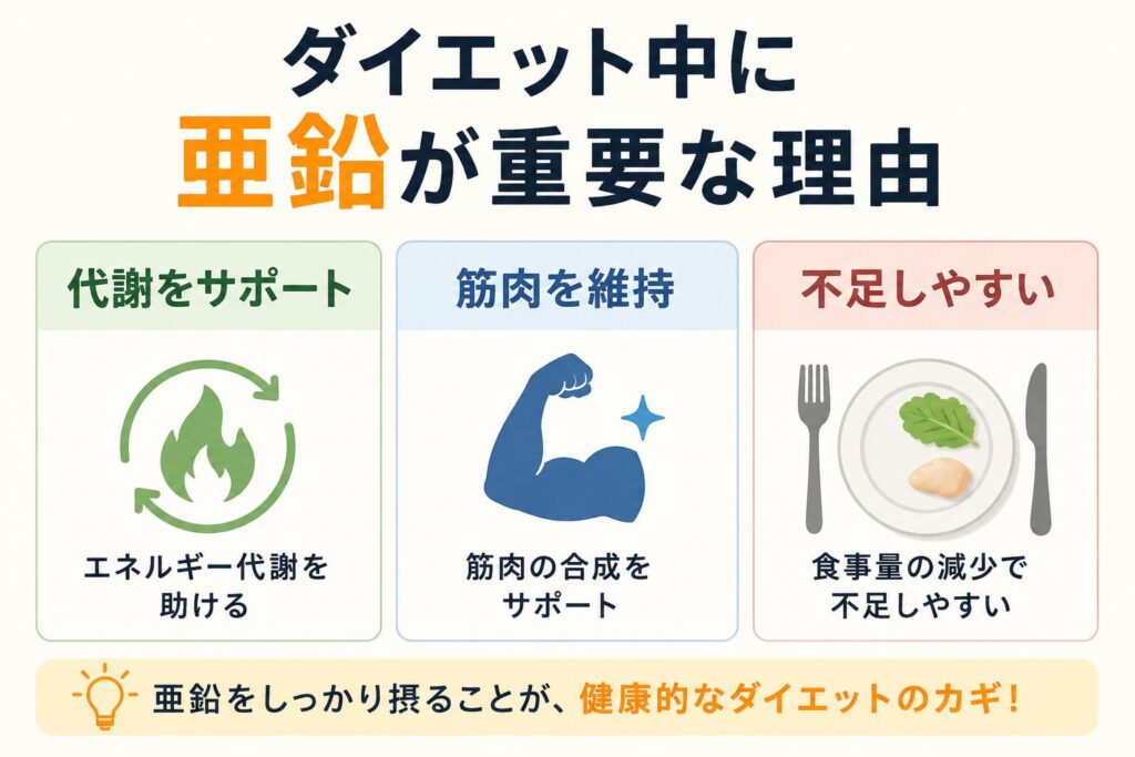 ダイエット中に亜鉛が重要な理由