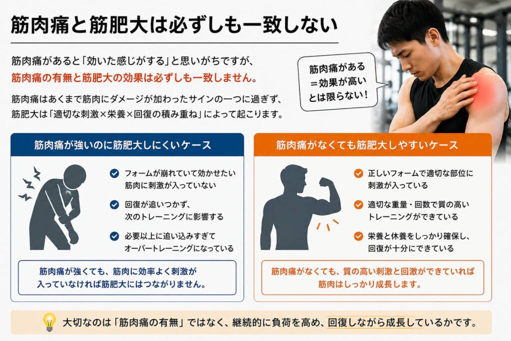 筋肉痛と筋肥大は必ずしも一致しない